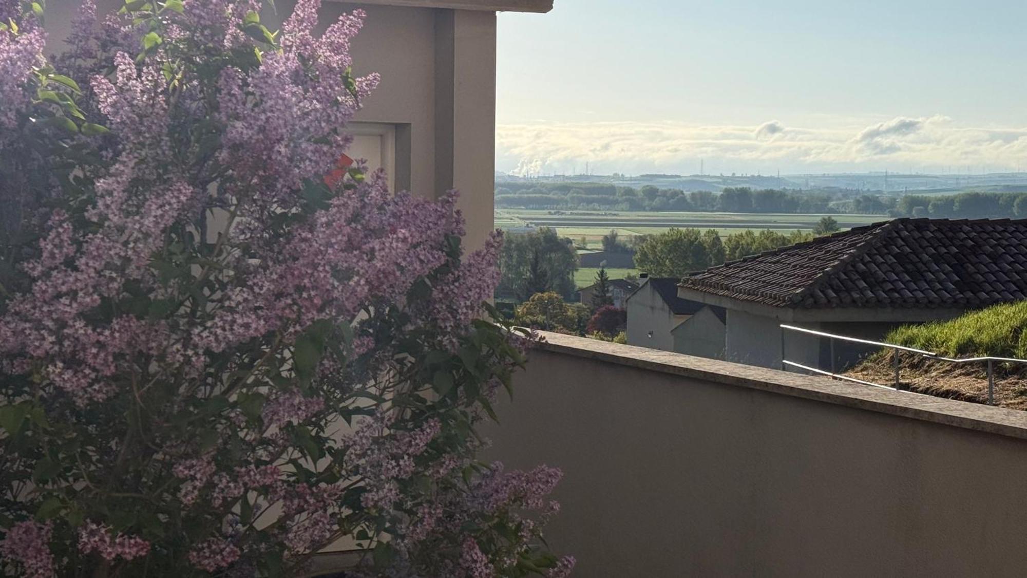 Aparthotel Camino De Rabe Rabé de las Calzadas Esterno foto